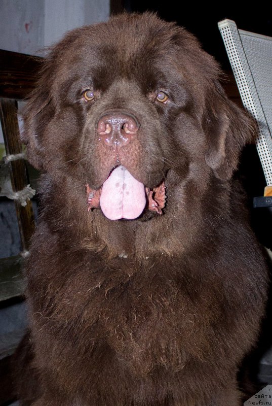 Фотография № 210402