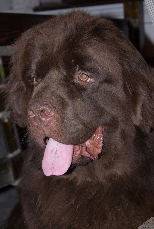 Фотография № 210403