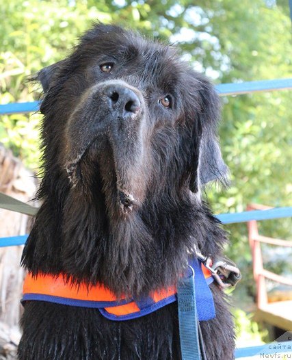 Фотография № 210406