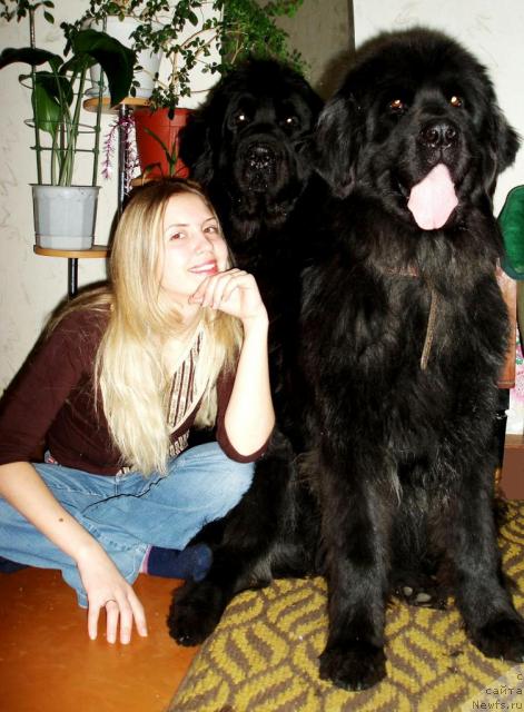 Фотография № 21042