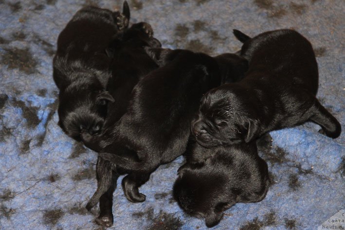 Фотография № 210484