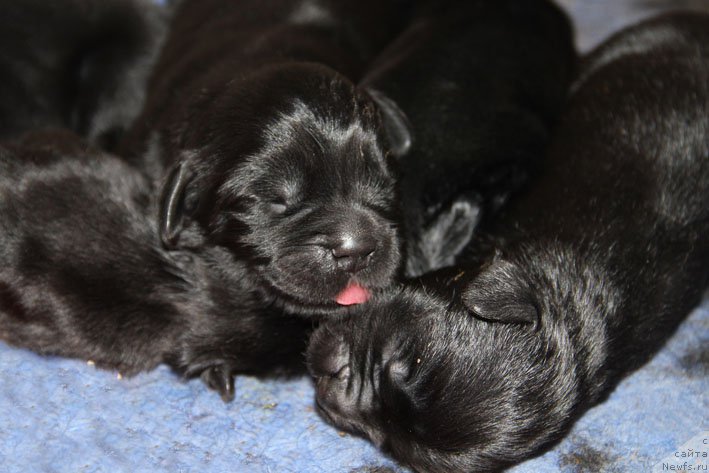 Фотография № 210485