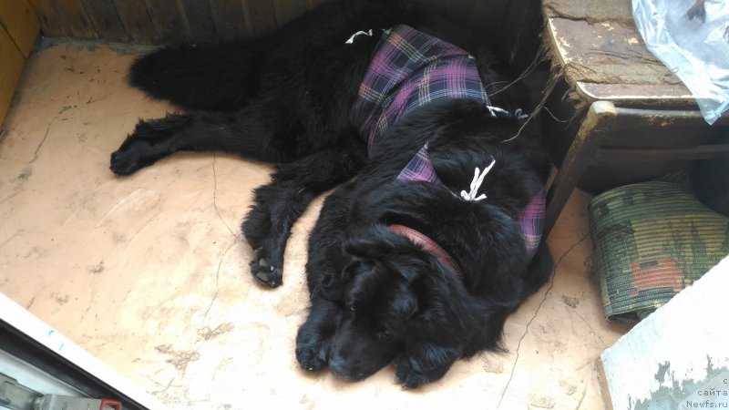 Фотография № 210496