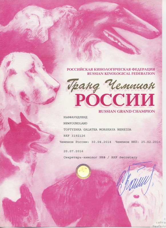 Фотография № 210506