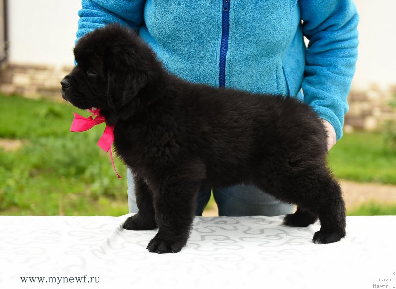 Фотография № 210509