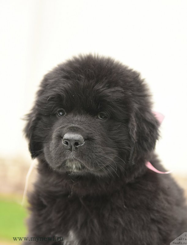 Фотография № 210513