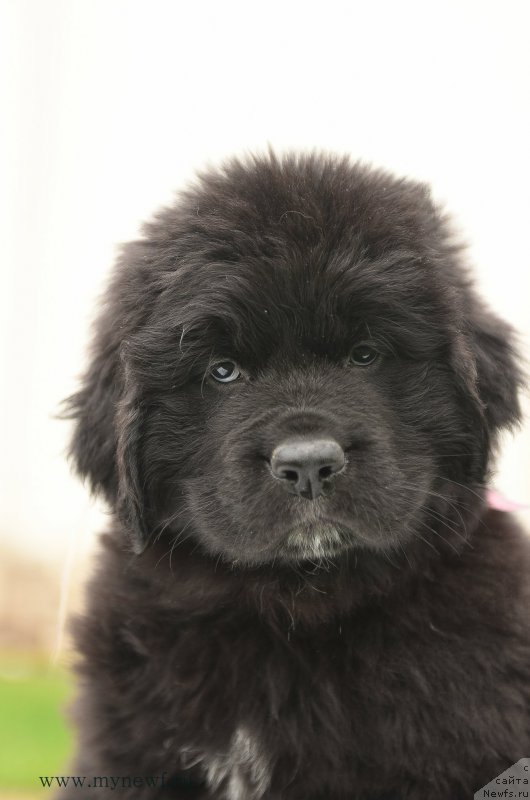 Фотография № 210514