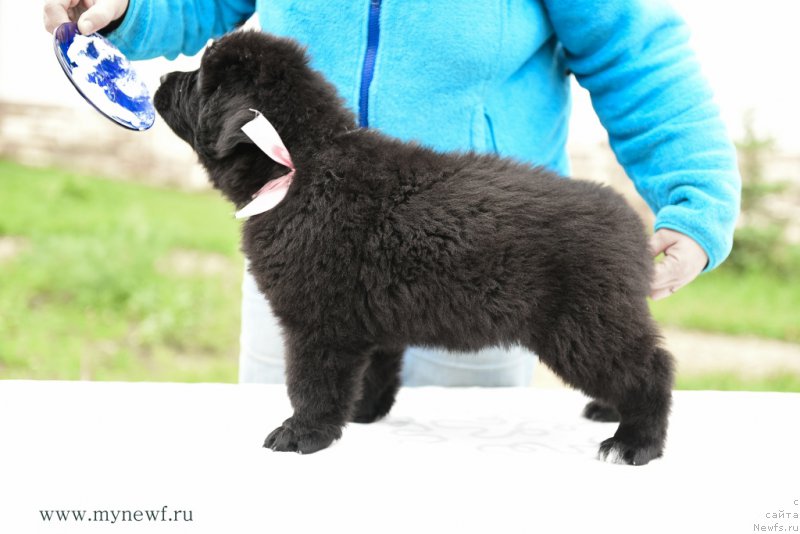 Фотография № 210516