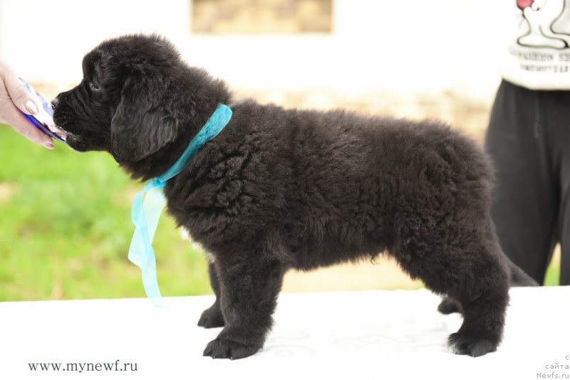 Фотография № 210523