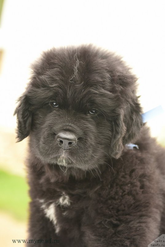 Фотография № 210526