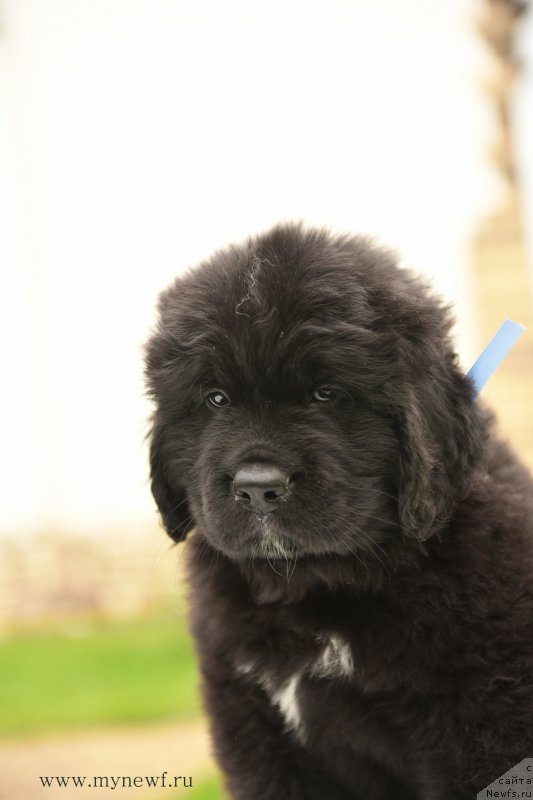 Фотография № 210527