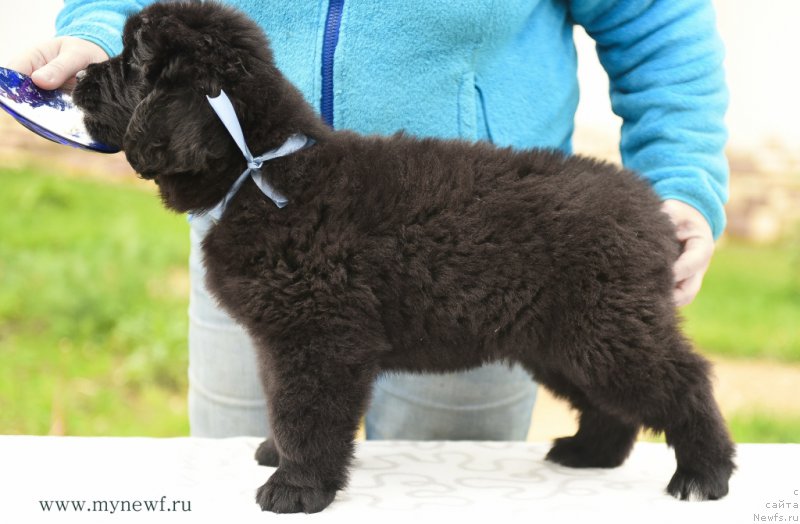 Фотография № 210529