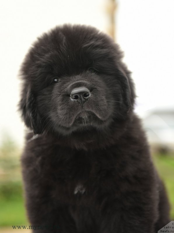 Фотография № 210533