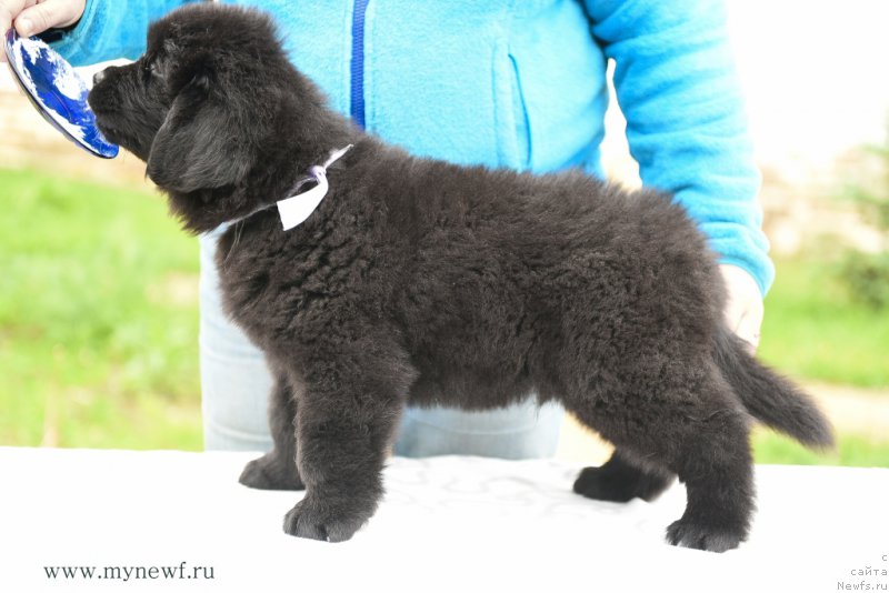 Фотография № 210534