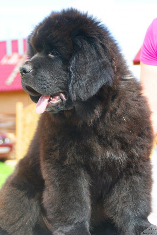 Фотография № 210535