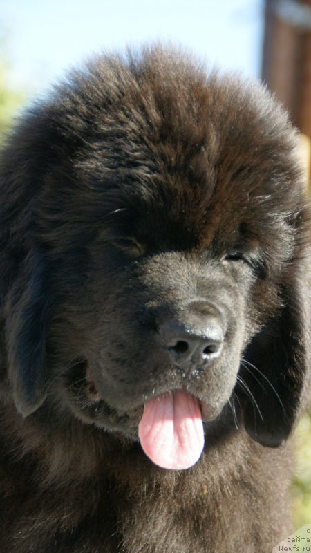 Фотография № 210536