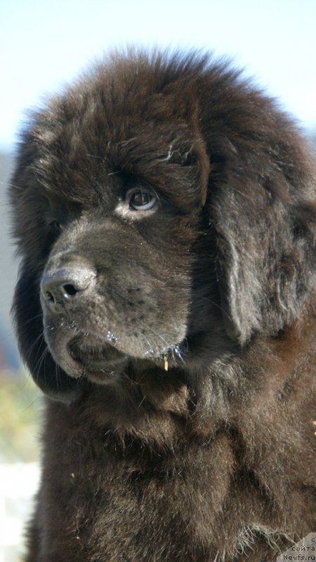 Фотография № 210537