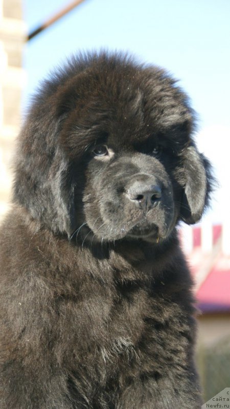 Фотография № 210538