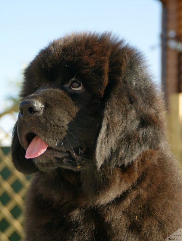 Фотография № 210539