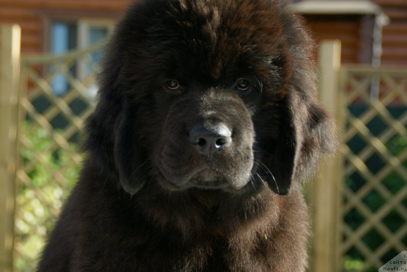 Фотография № 210542