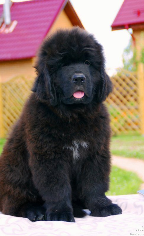 Фотография № 210543