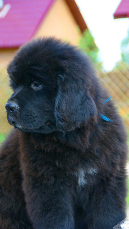 Фотография № 210544