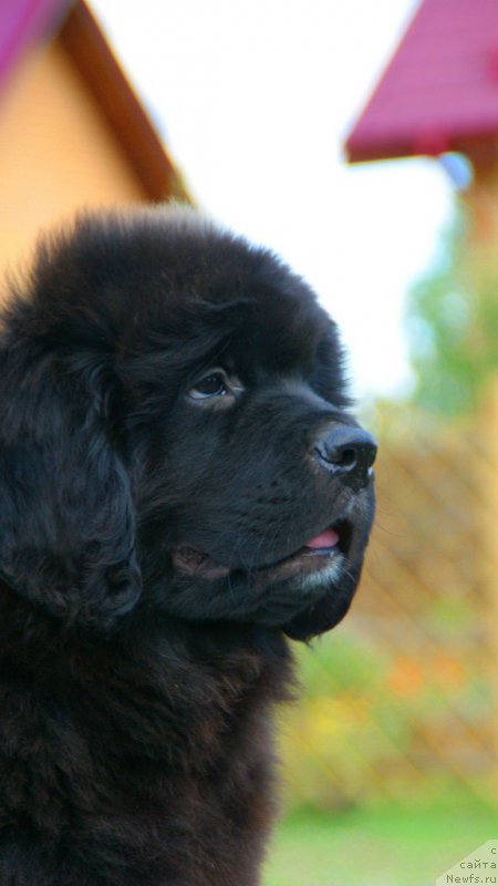 Фотография № 210547