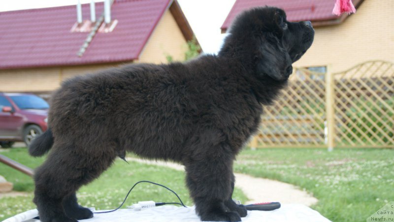 Фотография № 210548