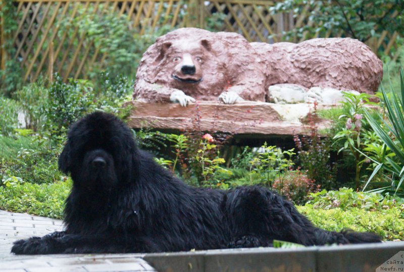 Фотография № 210563