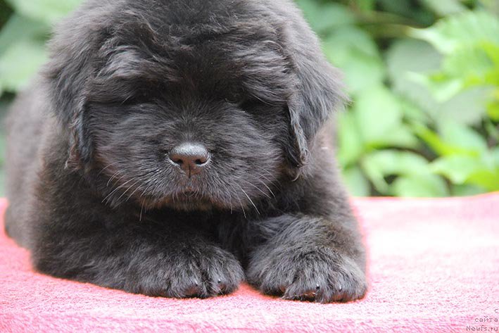 Фотография № 210589