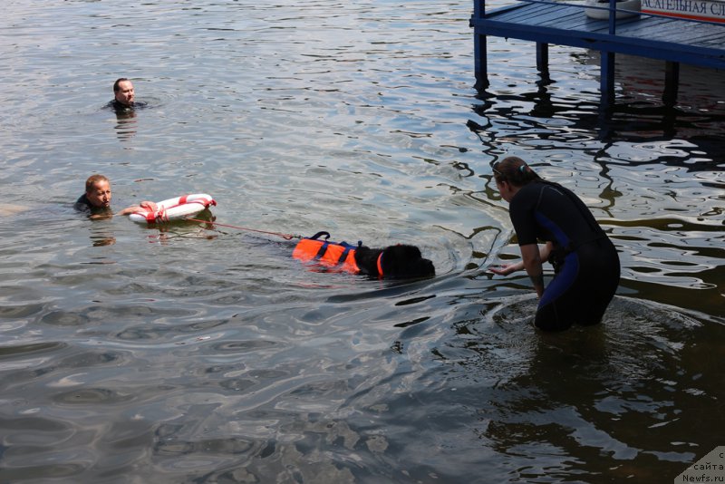 Фотография № 210623