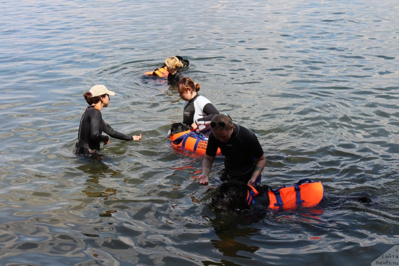 Фотография № 210624