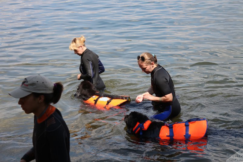 Фотография № 210625