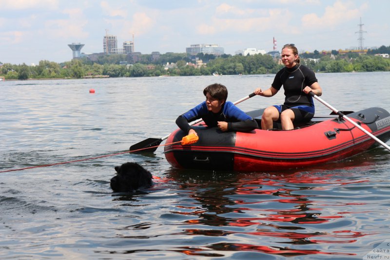 Фотография № 210628