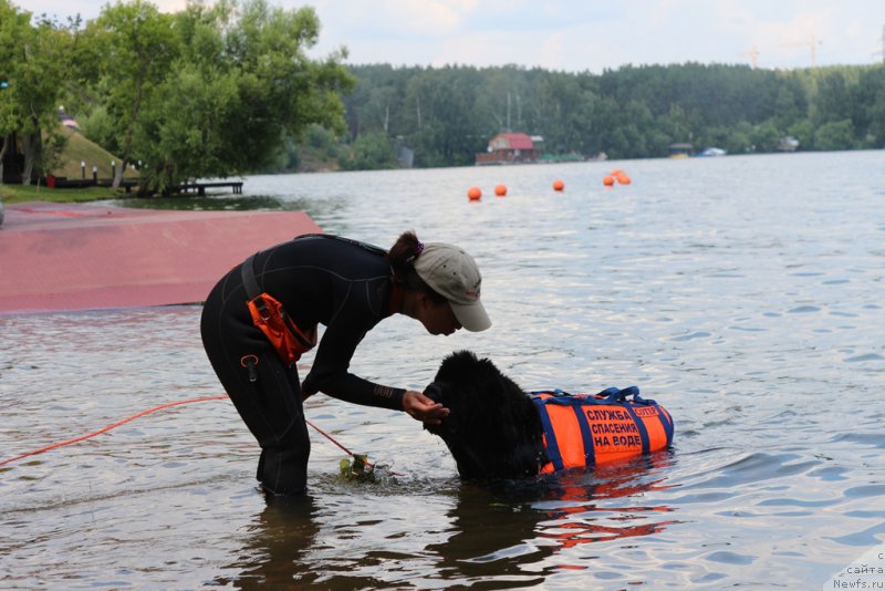 Фотография № 210630