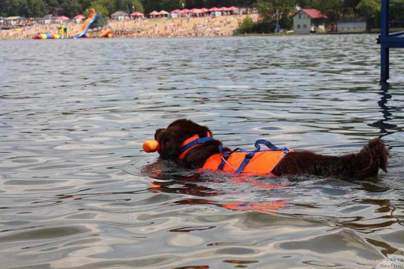 Фотография № 210631