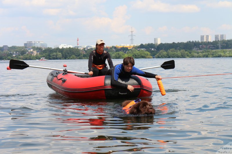 Фотография № 210632