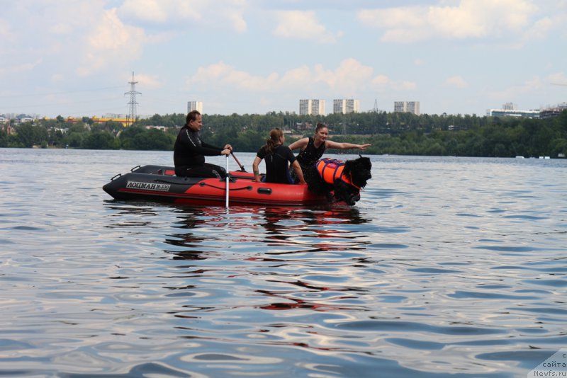 Фотография № 210635