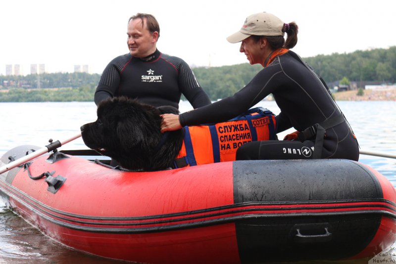 Фотография № 210636