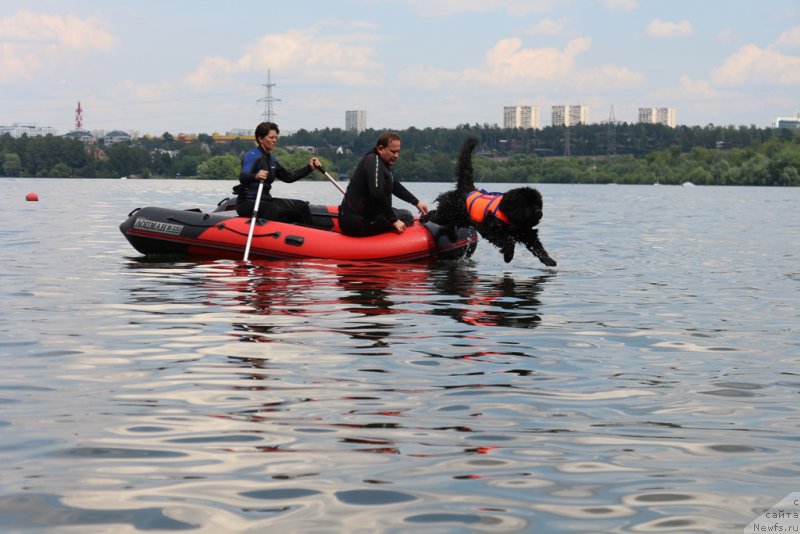 Фотография № 210640