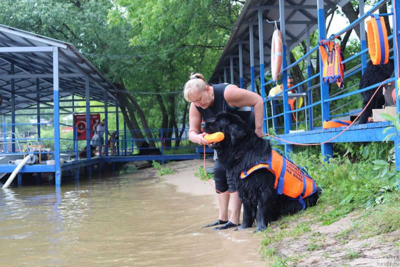 Фотография № 210643