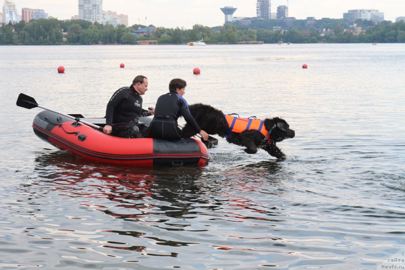 Фотография № 210648