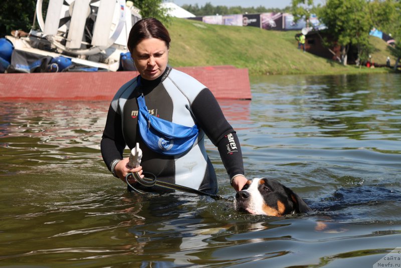 Фотография № 210649