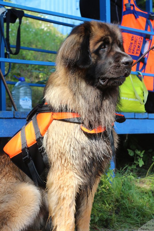 Фотография № 210653