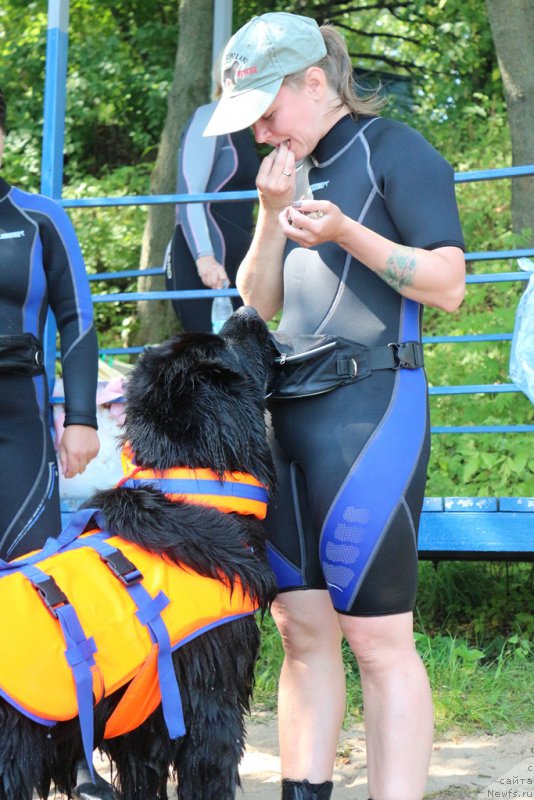 Фотография № 210656