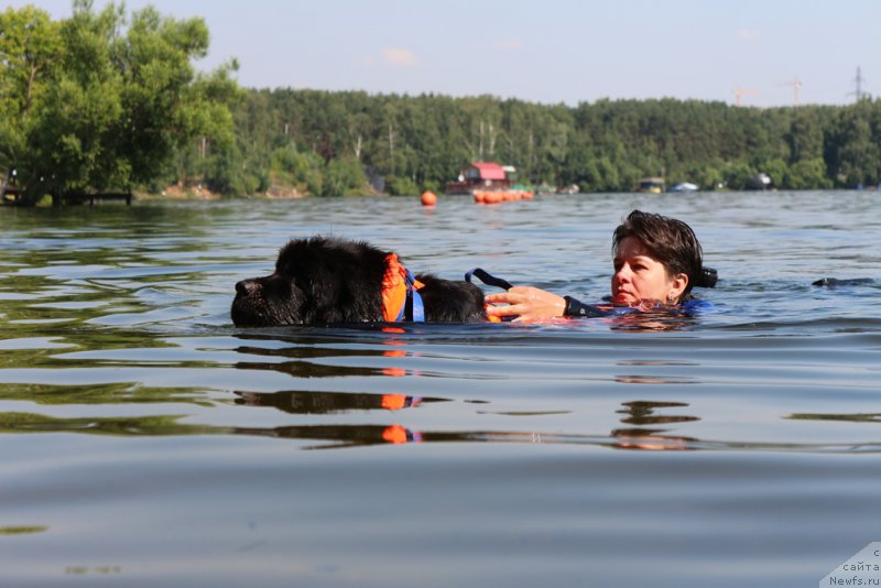 Фотография № 210658