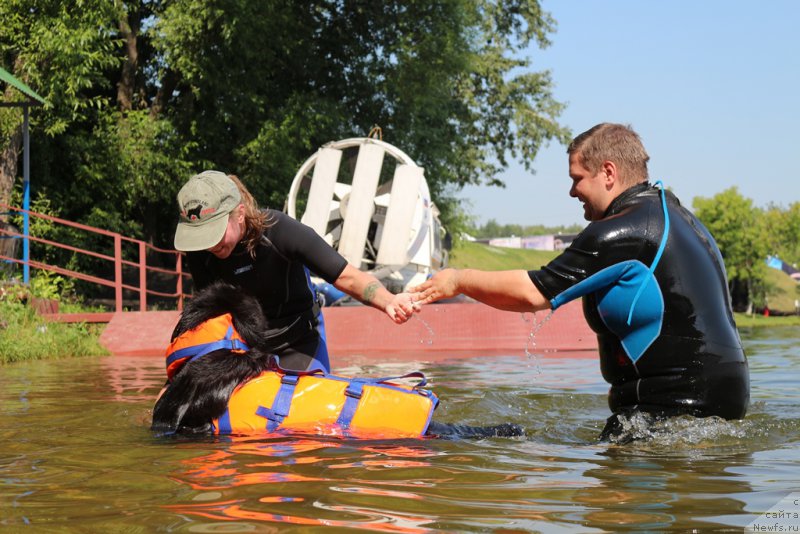 Фотография № 210659