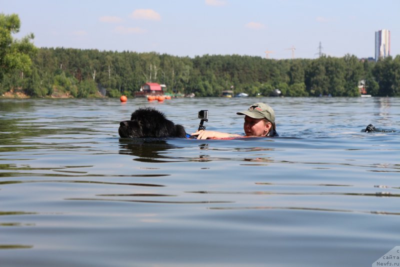 Фотография № 210661