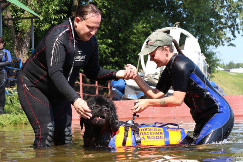 Фотография № 210662