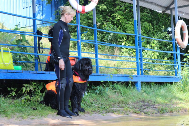 Фотография № 210663